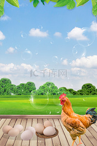 蔬菜鸡蛋肉类背景图片_美食生鲜海报北背景