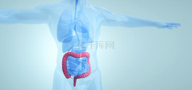 人体肝胆背景图片_人体医疗结构背景