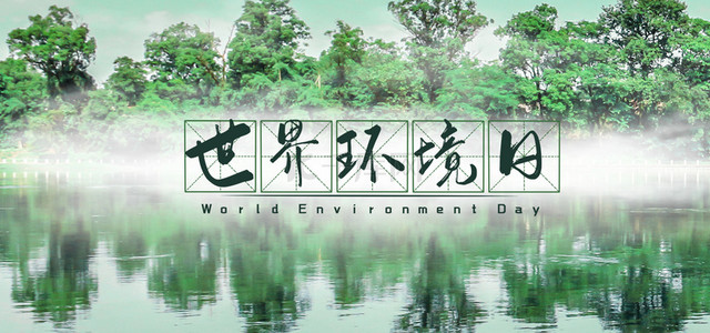 海报森林背景图片_世界环境日海报背景
