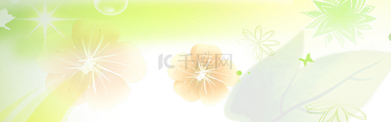 植物枫叶背景图片_植物枫叶花朵绿色简约banner