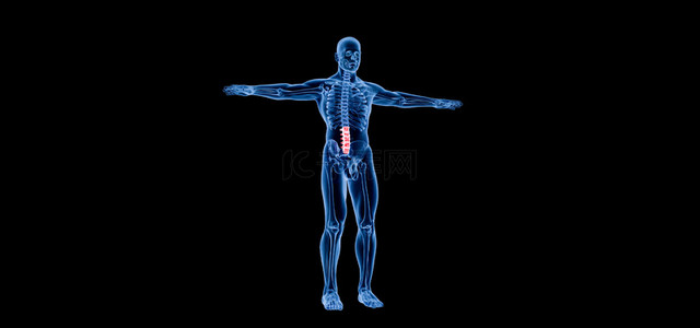 立体人体背景图片_C4D创意医疗腰椎人体骨骼简约