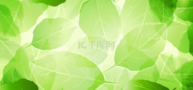 植物肌理背景图片_简约绿色植物叶子底纹肌理背景
