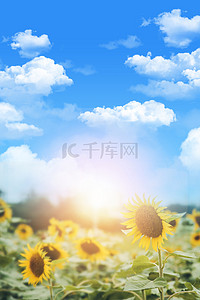 夏天夏季夏至背景图片_简约清新蓝天向日葵夏至背景