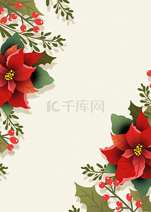 圣诞节一品红红花背景
