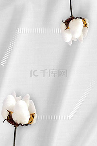 棉花丝绸白色简约文艺