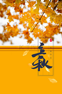 传统节气立秋枫叶海报