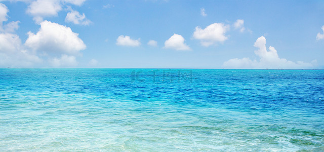 夏日海滩椰树背景图片_辽阔的大海海报背景