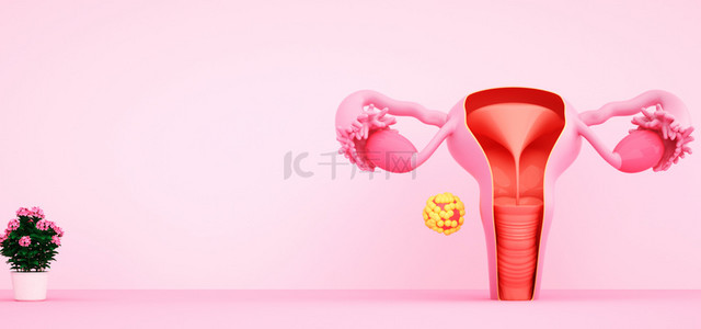 子宫保养背景图片_医疗女性卵巢子宫