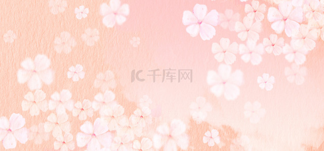 粉色三月背景图片_唯美樱花白色樱花瓣