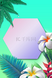 简约夏季小清新背景图片_创意撞色绿色春夏边框背景合成