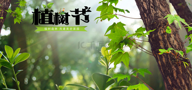 植树海报海报背景图片_创意合成大气植树节背景