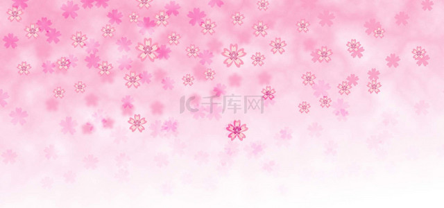粉色，樱花背景图片_渐变飘落粉色樱花唯美背景