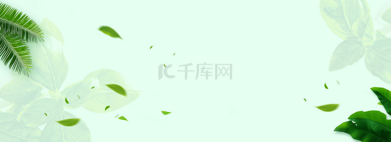 简约叶子banner背景图片_简约绿色植物叶子banner海报背景