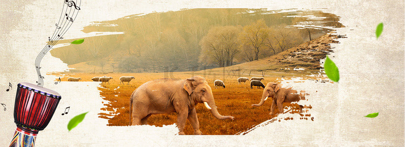 草原背景图片_非洲大草原旅游非洲鼓大象海报背景