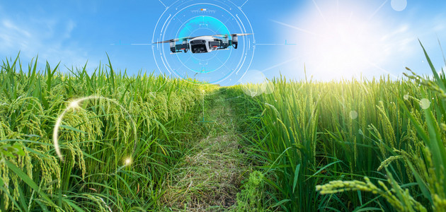农业补贴背景图片_农业科技无人机渐变科技背景