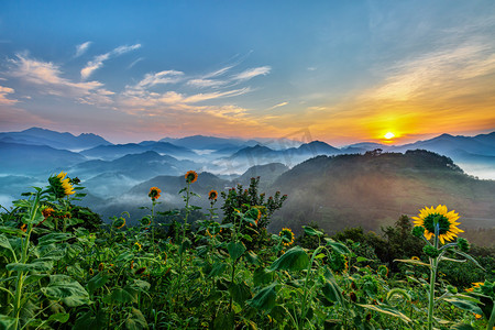 向日葵太阳摄影照片_休闲旅游清晨向日葵山区漂动摄影图配图