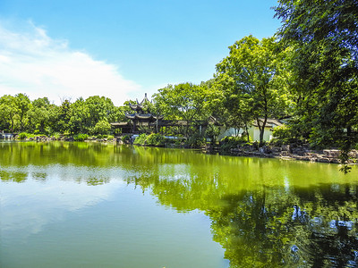 西溪湿地自然风光夏至江河湖海植物室外摄影图摄影图配图