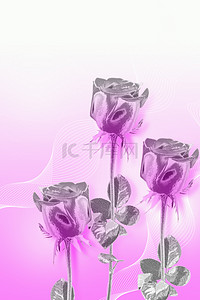 玫瑰花设计背景图片_酸性金属渐变简约玫瑰花