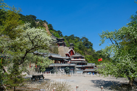 千山梨花节摄影照片_千山5A景区春季五龙宫梨花节旅游摄影图配图