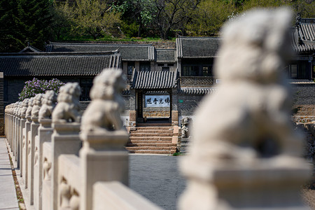 千山5A景区春季中会寺寺庙佛光普照摄影图配图