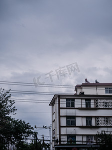 城市风景阴天两栋白楼在天空下矗立着摄影图配图