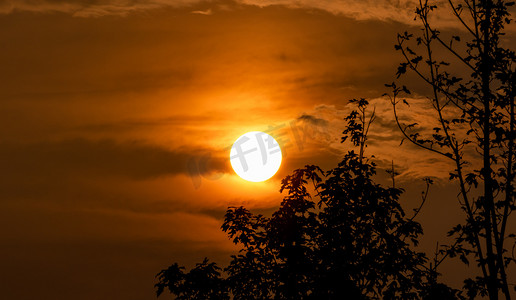 树影树叶摄影照片_夏天黄昏风景傍晚太阳户外夕阳西下摄影图配图