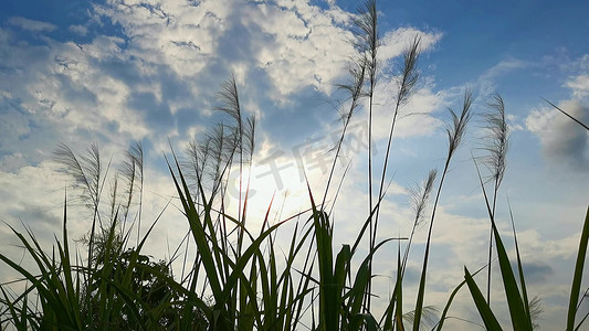 白云唯美摄影图片-白云唯美摄影作品-千库网