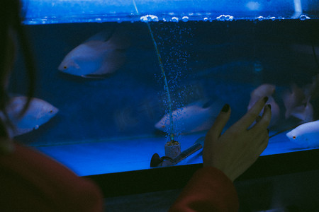 好看背景摄影照片_文艺图片下午看鱼的女人鱼缸前一只手摸着摄影图配图