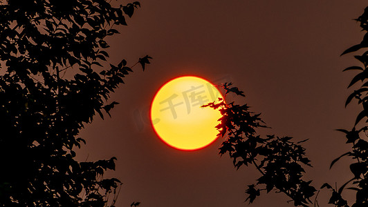 夏天日落风光傍晚太阳户外夕阳西下摄影图配图