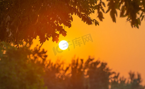 ps光照摄影照片_夏天日落风景夕阳太阳光照户外夕阳西下摄影图配图