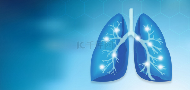 肺部影像背景图片_蓝色医疗肺部背景图片