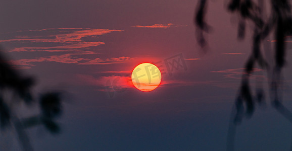 风景树叶摄影照片_夏天日落风景傍晚太阳户外夕阳西下摄影图配图