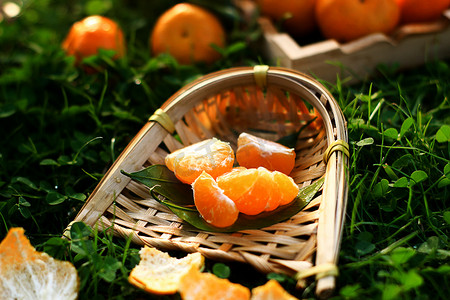 绿色圆角粽子摄影照片_静物日落橘子新鲜橘子黄色橘子摄影图配图