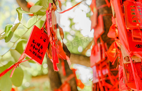 祈福文字摄影照片_祈福许愿七夕文艺许愿树摄影图配图