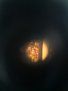 科技白天显微镜实验室放大摄影图配图