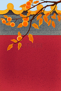 秋天柿子树背景图片_柿子树房檐红墙广告背景