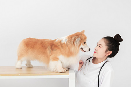 宠物白天美女医生桌子听诊器摄影图配图