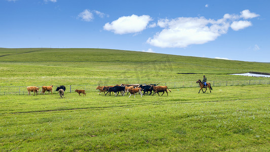 草原高山牧场上午牧马人夏季素材摄影图配图