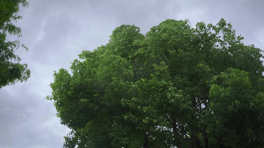 暴雨摄影照片_狂风暴风大风乌云密布暴雨