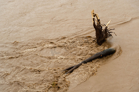 洪水夏季树干泥沙冲刷摄影图配图