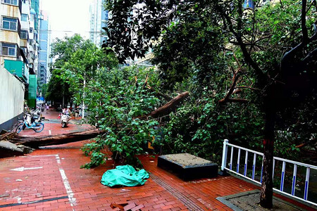 暴雨摄影照片_河南郑州被暴雨洪水破坏的城市摄影图配图