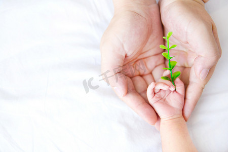 母婴室文化墙摄影照片_婴儿小手手势婴儿小手新生摄影图配图