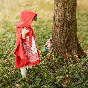 童话动图摄影照片_小红帽和大灰狼童话小女孩发现摄影图配图