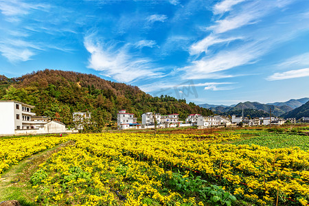 白云动图摄影照片_秋季旅游早晨菊花山区漂动摄影图配图