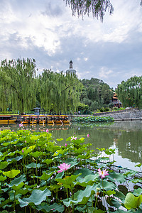 北海公园摄影照片_北京地标北海公园公园旅游摄影图配图