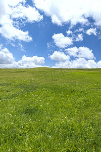 草原植被上午草原夏季素材摄影图配图