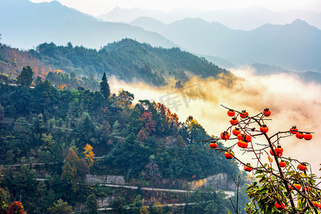 秋天早晨柿子山区飘动摄影图配图