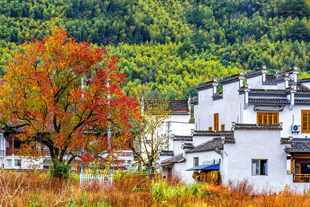 秋季风景白昼房屋山区摇动摄影图配图