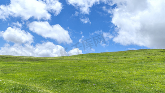 夏季摄影照片_夏季草原上午草原夏季素材摄影图配图