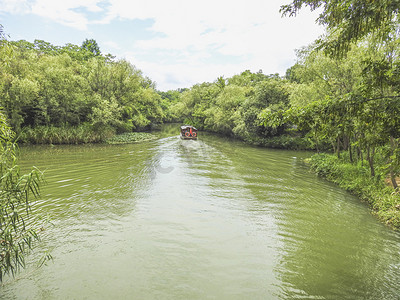 西溪湿地摄影照片_西溪湿地夏至西溪深潭口植物湖海摄影图摄影图配图